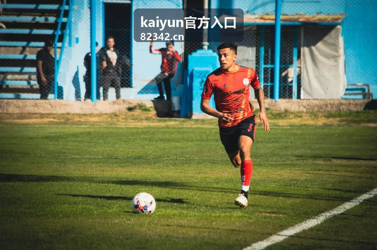 kaiyun官方入口条目编号说明配图