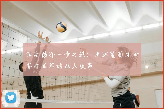 距离巅峰一步之遥：讲述葡萄牙世界杯亚军的动人故事