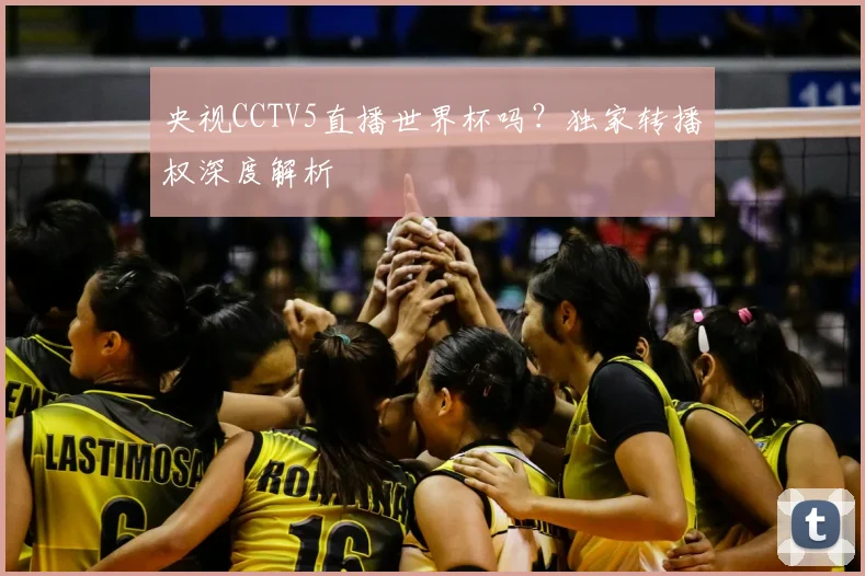 央视CCTV5直播世界杯吗？独家转播权深度解析