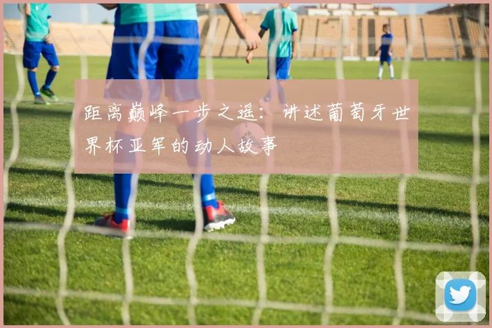 距离巅峰一步之遥：讲述葡萄牙世界杯亚军的动人故事