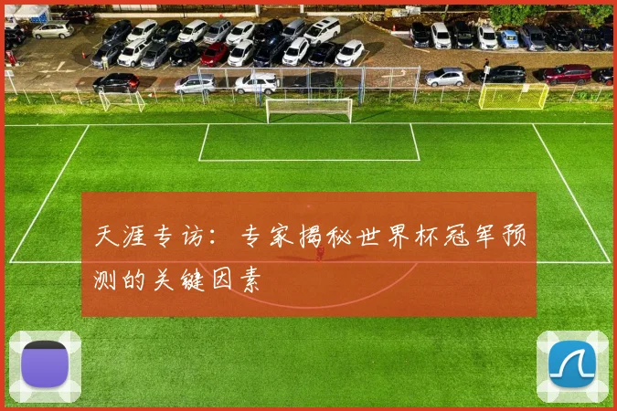 天涯专访：专家揭秘世界杯冠军预测的关键因素