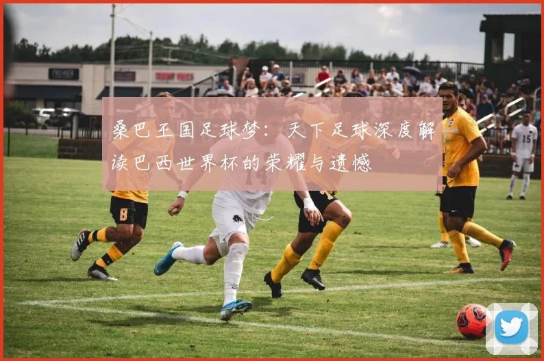 桑巴王国足球梦：天下足球深度解读巴西世界杯的荣耀与遗憾