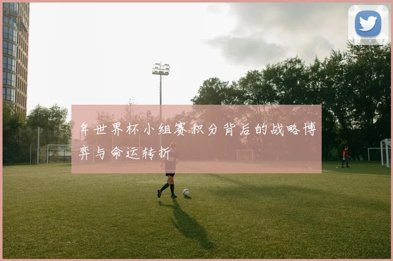 年世界杯小组赛积分背后的战略博弈与命运转折