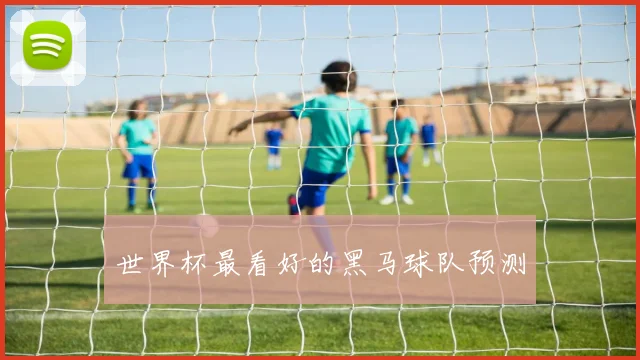 世界杯最看好的黑马球队预测