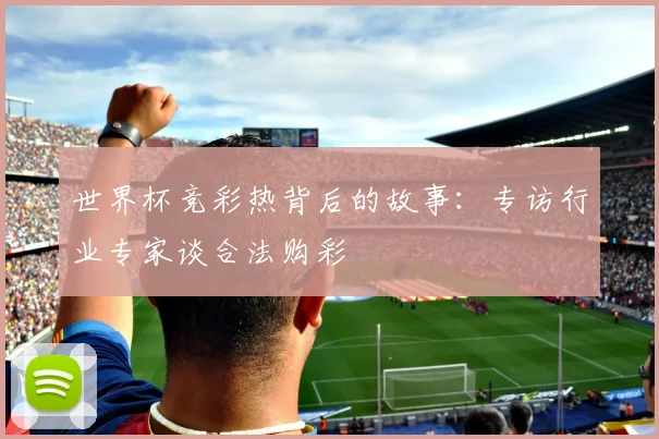 世界杯竞彩热背后的故事：专访行业专家谈合法购彩